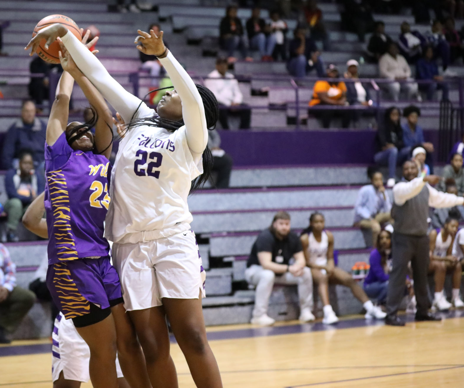 Wilson at Darlington Basketball